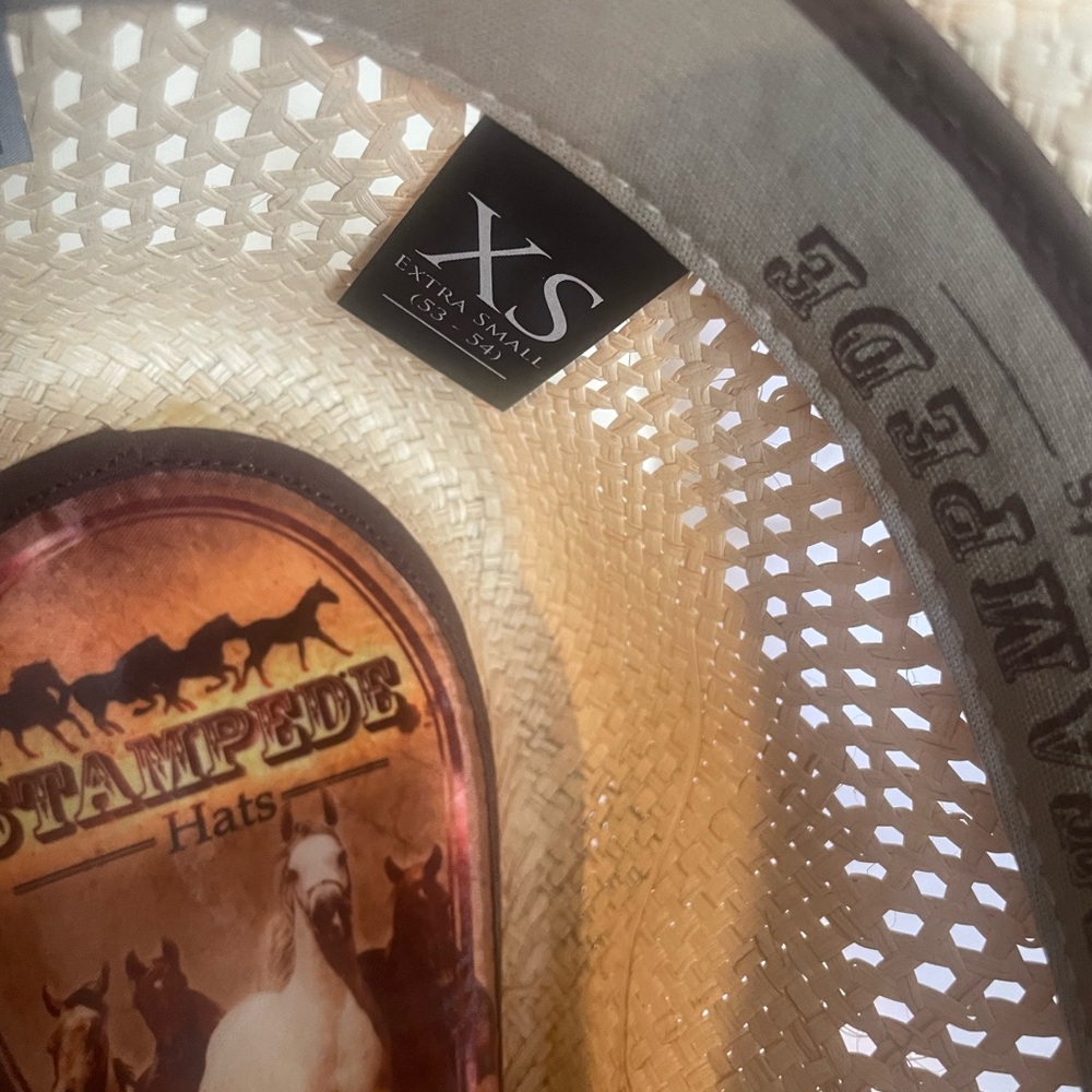Stampede Cowboy Hat with Turquoise Concho Band - Picture 7 of 8